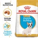 Royal Canin French Bulldog Puppy granule pre šteňa francúzskeho buldočka 3kg