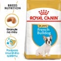 Royal Canin French Bulldog Puppy granule pre šteňa francúzskeho buldočka 1kg