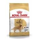 Royal Canin Golden Retriever Adult granule pre dospelého zlatého retrievera 3kg