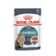 Royal canin Feline Hairball Care kapsa 85g