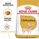 Royal Canin Chihuahua Adult granule pre dospelú čivavu 1,5kg