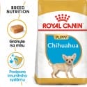 Royal Canin Chihuahua Puppy granule pre šteňa čivavy 500g