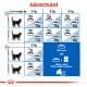 Royal canin Feline Indoor 4kg