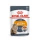 Royal canin Feline Int. Beauty kaps v želé 85g