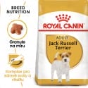 Royal Canin Jack Russell Adult granule pre dospelého jack russell teriéra 3kg