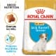 Royal canin Breed Jack Russell Junior 1,5kg