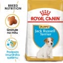 Royal Canin Jack Russell Puppy granule pre šteňa jack russell teriéra 1,5kg