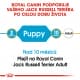 Royal canin Breed Jack Russell Junior 1,5kg