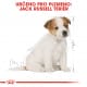 Royal canin Breed Jack Russell Junior 1,5kg