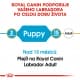 Royal canin Breed Labrador Junior 12kg