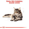 Royal canin Breed Feline Maine Coon 2kg