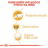 Royal canin Breed Feline Maine Coon 2kg