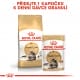 Royal canin Breed Feline Maine Coon 400g