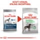 Royal canin Maxi Digestive Care 15kg