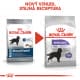 Royal canin Maxi Sterilised 12kg