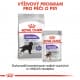 Royal canin Maxi Sterilised 12kg