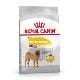 Royal canin Medium Derma Comfort 10kg