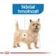 Royal canin Mini Light 800g