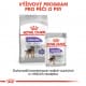 Royal canin Mini Sterilised 2kg