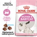 Royal canin Feline Babycat 2kg