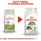 Royal canin Feline Outdoor 10kg