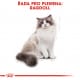 Royal canin Breed Feline Ragdoll 2kg