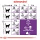 Royal canin Feline Sensible 10kg