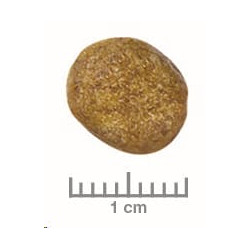 Royal Canin VD Feline Renal 2kg