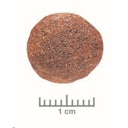 Royal Canin VD Canine Cardiac 2kg