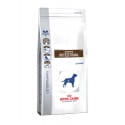 Royal Canin VD Canine Gastro INTEST 2kg