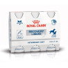 Royal Canin VD Fel / Can Recovery Liquid 3x200ml