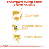Royal canin Breed Yorkshire 12x85g