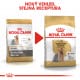 Royal canin Breed Yorkshire  3kg