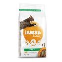 Iams Adult Chicken 2kg