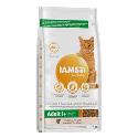 Iams Adult Salmon 2kg