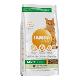 Iams Adult Lamb 2kg