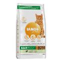 Iams Adult Lamb 2kg