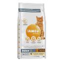 Iams Adult IND Chicken 2kg