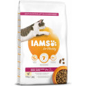 Iams Senior Chicken 10kg