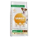 Iams Dog Adult Small & Medium Chicken 12kg