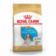 Royal Canin Breed Cavalier King Charles Junior 1,5kg