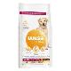 Iams Dog Senior Large Chicken 3kg