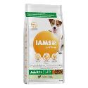 Iams Dog Adult Small & Medium Lamb 3kg