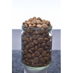 Brit Dog Fresh Beef & Pumpkin Puppy Large 2,5kg