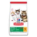 Hill's SP Cat Kitten Chicken 3kg