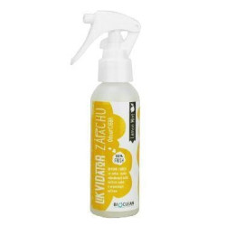 Odourclean 250 ml LEMON MINT