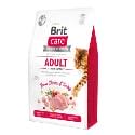 Brit Care Cat GF Adult Activity Support 2kg