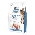 Brit Care Cat GF Large cats Power & Vitality 2kg