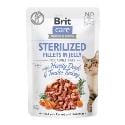 Brit Care Cat Fillets in Jelly Steril Duck & Turkey 85g