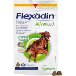 Flexadin Advanced New 60tbl